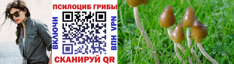 Псилоцибиновые грибы ЛСД Арамиль